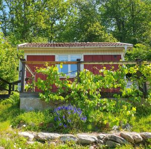 KS-behandling i Uddevalla